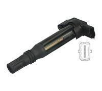 Delphi Technologies GN10583-12B1 Bobine D'Allumage