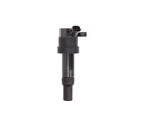 Delphi Technologies GN10585-12B1 Bobine D'Allumage