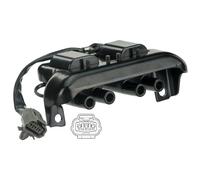 Delphi Technologies GN10771-12B1 Bobine D'Allumage