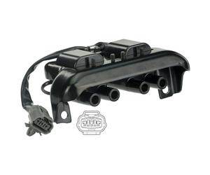 Delphi Technologies GN10771-12B1 Bobine D'Allumage