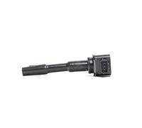 Delphi Bobine d'allumage GN10798-12B1