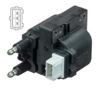 Delphi Technologies GN10828-12B1 Bobine D'Allumage