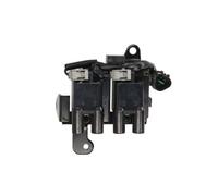 Delphi Technologies GN10829-12B1 Bobine D'Allumage