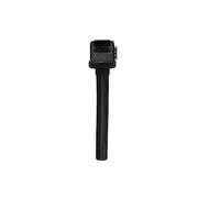 Delphi Technologies GN11019-12B1 Bobine D'Allumage