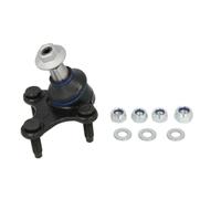 Delphi Technologies TC1731 Rotule de suspension inferieure
