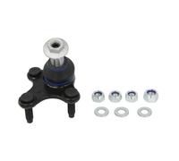 Delphi Technologies TC1732 Rotule de suspension inferieure