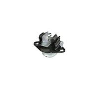 Delphi Support moteur TEM048 pour Renault Scénic I (JA0/1, FA0)