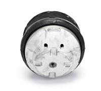 DELPHI TEM132 Support moteur