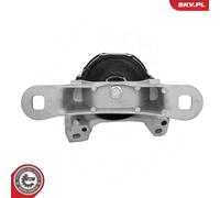 DELPHI TEM252 Support Moteur Droite Ford Focus II 2.5 ST Kuga I Volvo V50