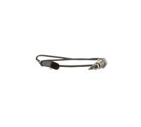 DELPHI TS30020 Palpeur de température des gaz 615mm Compatible avec VW Golf 5 3/5 portes 1K1 Golf 6 3/5 portes 5K1 Tiguan I 5N, AUDI A3 Sportback 8PA A3 3/5 portes 8P1