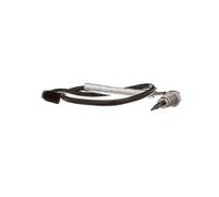 Delphi Capteur de température d'échappement TS30176 – Palpeur de gaz 520 mm – SEAT VW AUDI SKODA