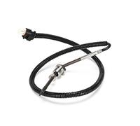 DELPHI TS30391-12B1 Palpeur, température des gaz