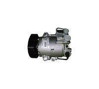 DELPHI TSP0155966 Compresseur de clim 6CVC PAG 46 Compatible avec OPEL Astra J 5 portes P10 Astra J Sports Tourer P10 Astra J GTC P10