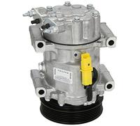 Delphi Compresseur de climatisation TSP0159334 PAG 46 pour Citroën et Peugeot
