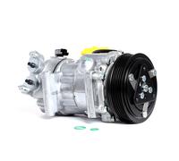 Delphi Compresseur de climatisation TSP0159488 PAG 46 pour Citroën Peugeot