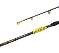 Delphin HAZARD BxG | 255cm/505g/2 pcs