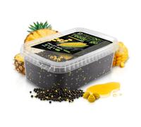 Delphin Reaxe Method Feeder Boîte de granulés ReadyAndGo 400 g de nourriture pour pêche à la carpe avec booster et appât Wafter