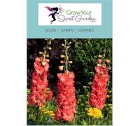 Delphinium red - Pied d'Alouette rouge - vivace