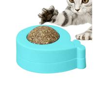 delr Balles de chat pour le nettoyage des dents pour jouet mural pour chats - jouets pour chats avec montage mural Catnip, jouet à lécher pour chats en intérieur