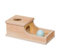 delr Billes pièces de monnaie, jouets intéressants en bois | Jouet pièces et boules d'éducation préscolaire Cadeaux d'anniversaire Noël pour Éducation sensorielle
