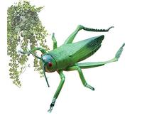 delr Fausse araignée - Jouets Insectes Modèle Animal Réaliste PVC pour - Simulation araignées, Scorpions, grillons, coccinelles pour éducation et cadeaux fête Noël