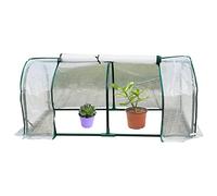 delr Maisons vertes pour extérieur - Petit hiver pour extérieur - Best Choice Products Tunnel Serre sans appel, tente accessoires de jardin pour arrière-cour, jardinage