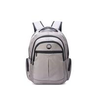 Delsey Sac à dos Element Daypack 44 cm - Compartiment pour ordinateur portable - Gris