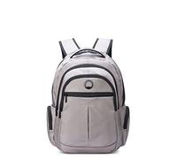Delsey Paris Element Daypack 44 cm Compartiment pour ordinateur portable gris