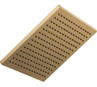 DELTA 52159-CZ25 Universal Showering Pomme de Douche, Champagne Bronze