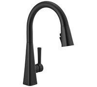 Delta Faucet 19802Z-BL-DST Robinet de cuisine à poignée unique à tirette Noir mat