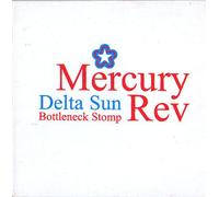 Delta Sun -Bottleneck Stomp