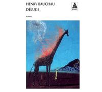 Henry Bauchau – Déluge – Roman – Poche