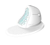 DeLUX Souris Ergonomique sans Fil M618XSD BT+2.4G RVB (Blanc)
