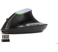 DeLUX - Souris Optique sans Fil RGB M618 - Gaming, Ergonomique, Rechargeable - Noir