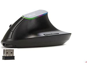 DeLUX - Souris Optique sans Fil RGB M618 - Gaming, Ergonomique, Rechargeable - Noir