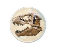 Deluxebase Magnidome - Crâne de T-Rex de Aimant Dinosaure pour Frigo en Verre de Cristal pour Enfants. Magnifiques dômes magnétiques pour la décoration de la Maison