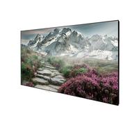 DELUXX Cinema Rahmenleinwand SlimFrame 221 x 124cm, 100 - SOUNDVISION