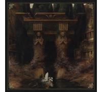 DELVE INTO THE MYSTERIES OF TRANSCENDENCE - Vinyl Record VL - F600z