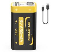 Delyeepow Piles 9V Rechargeable 650mAh, Pile 9V Lithium Rechargeable USB C 1PCS pour Détecteur de Fumée