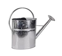 DEMA Victoria Arrosoir en métal galvanisé avec douchette 10 l