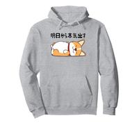 Demain, Dictons drôles de Chien Corgi Sweat à Capuche