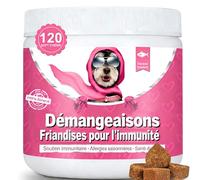 Démangeaisons Chien | 120 Compléments Premium | Réduit Léchages, Grattements & Mordillements | Oméga 3 & Probiotiques | Formule Vétérinaire | Saumon | 300g