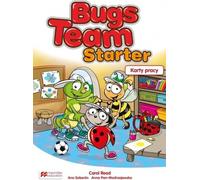 Démarrage de l'équipe Bugs. Karty pracy