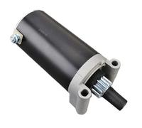 Démarreur à gaz 23 CV 25 CV Compatible avec Les modèles d'outils de Jardin Holland Mower Zero Turn G4030 G4035 G4050 Titan Z4800 Z5200 pour numéro de pièce 8K1927225B 1G724-97012