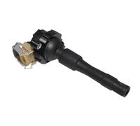 Démarreur Bobine d'allumage 12131703228, 1 pièce, pour E38 E39 E31 E36 E46 X5 Z3 Z8 540i MG ZS 180 pour Rover 45 75 UF300 12131748018 1748017 LR022494 Interrupteur D'allumage De Voiture