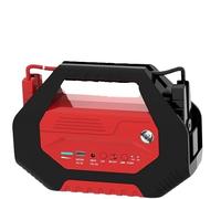 Démarreur de Voiture Portable - Bloc d'alimentation 12 V/24 V pour Tous véhicules, Lampe Torche LED d'urgence, Performances optimales même par températures extrêmes, Longue autonomie et Char