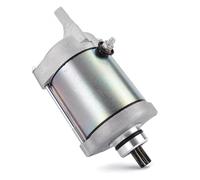 Démarreur Démarreur pour SYM pour ATV pour Quad pour Lander 250 300 300S 300SL 2005-2010 2011 2012 2013 2014 Démarrage Électrique