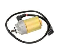 Démarreur Électrique pour Scooter GY6 47cc 49cc 50cc 4 Temps QMB139 Moteur pour Tao Tao pour Jonway pour Sunl pour Roketa pour Baja pour Peace Sports Démarreur Starter