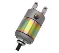 Démarreur Moto 4714800182 R19040191A0 94800100 pour Linhai pour Bighorn 260 2x4 ATV UTV Moteur De Moto Démarreur Électrique Démarreur Moteur