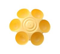 demaxiyad Gamelle en Forme de pour Chaton à 6 Repas | Sûr, Motif pétales de Fleurs pour Chats d'intérieur - Favorise Une Meilleure Digestion pour Plusieurs Chats
